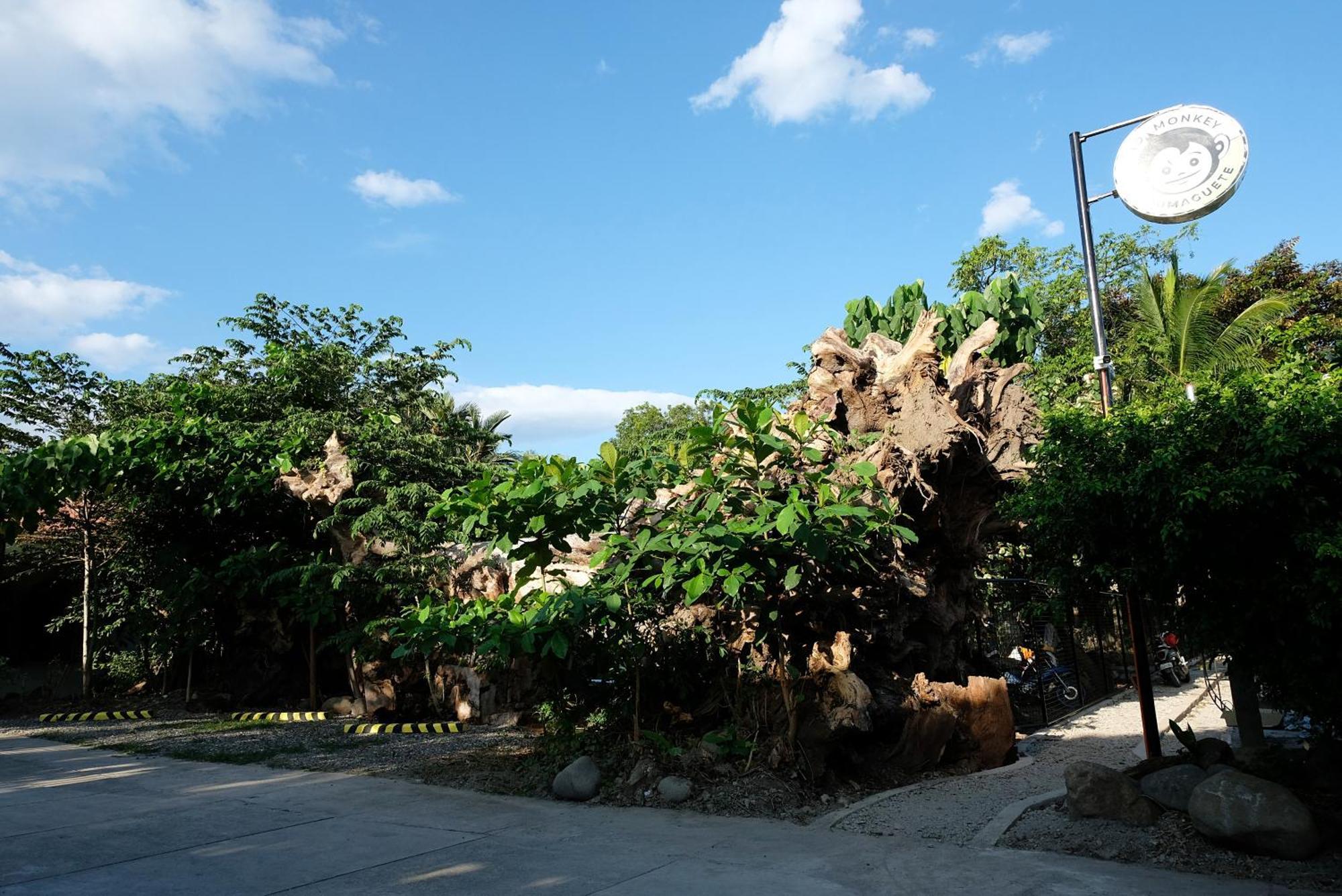 Mad Monkey Dumaguete Hostel Dumaguete City ภายนอก รูปภาพ